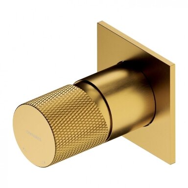 Braižyto aukso spalvos dušo maišytuvas Omnires Contour CT8045GLB Braižyto aukso spalvos dušo maišytuvas Omnires Contour CT8045GLB