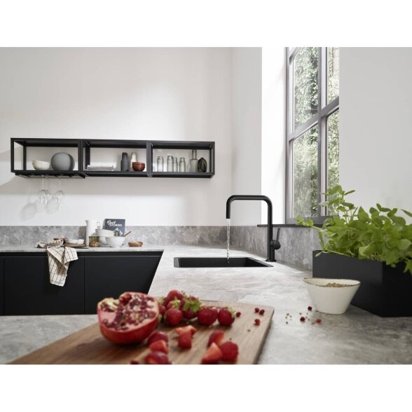 Hansgrohe Talis M54 72806000 virtuvinis maišytuvas 2