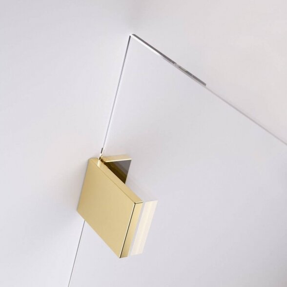Radaway Essenza Pro Gold stabili dušo sienelė 2 Radaway Essenza Pro Gold stabili dušo sienelė 2
