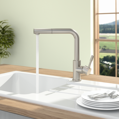 Villeroy & Boch nerūdijančio plieno virtuvinis maišytuvas su ištraukiamu dušeliu Steel Shower Villeroy & Boch nerūdijančio plieno virtuvinis maišytuvas su ištraukiamu dušeliu Steel Shower